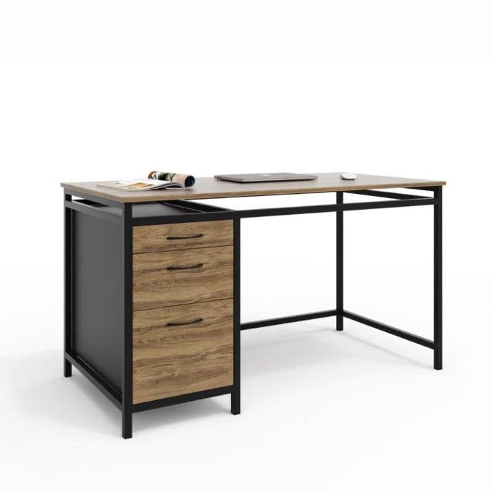 Holly for compact study areas